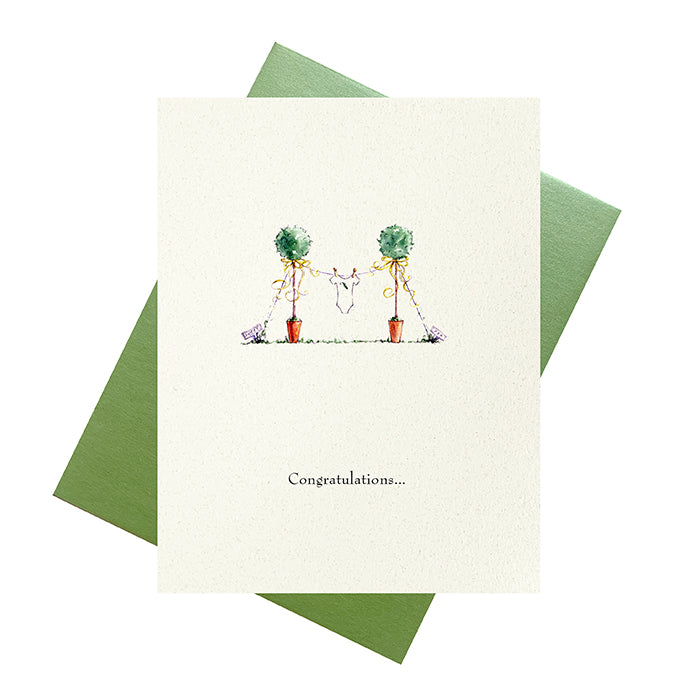 Baby Onesie Greeting Card