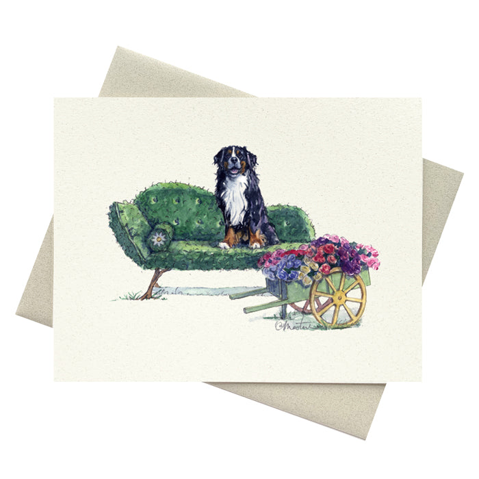 Bernese Mountian Notecard