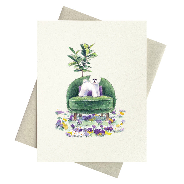 Bichon Frise Notecard