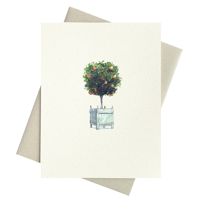 Orangerie Topiary Notecards