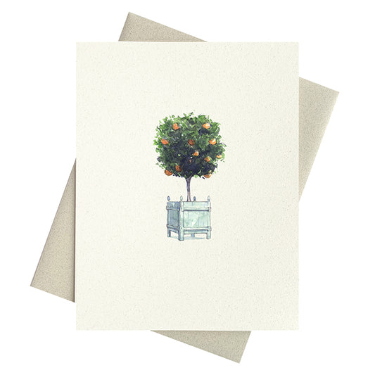 Orangerie Topiary Notecards