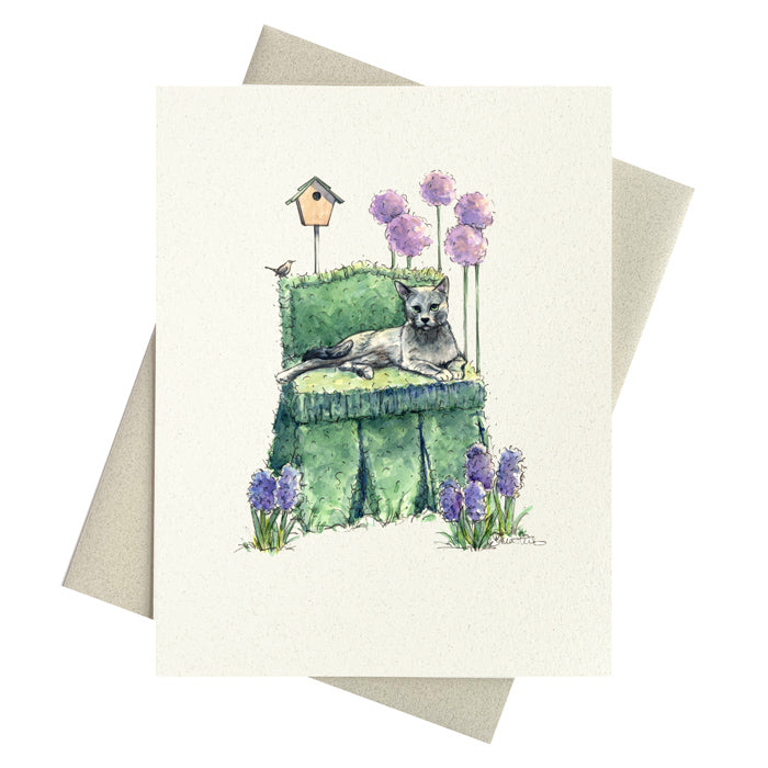 Russian Blue cat on a topiary boudior chair surrounded by allium, hyacinths and a charming wren.