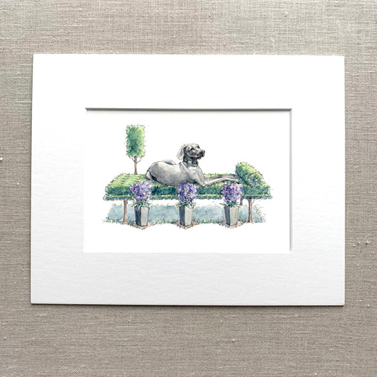 Weinmaraner Art Print
